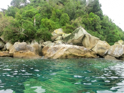 abeltasman (08)